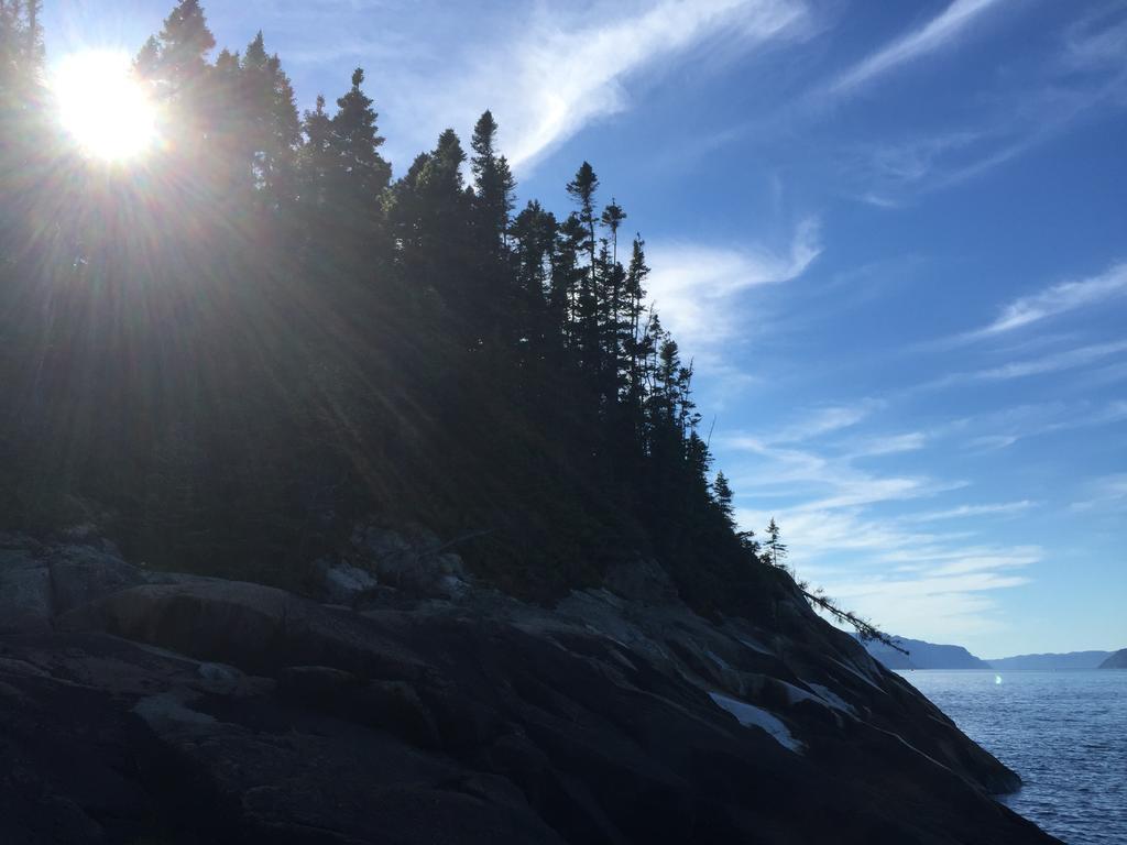 Résidence Touristique Les Bouleaux Petit-Saguenay Extérieur photo